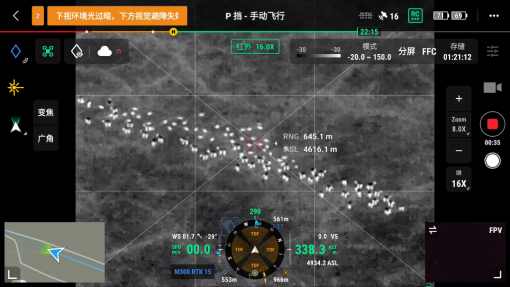 大疆无人机红外模式发现藏羚羊